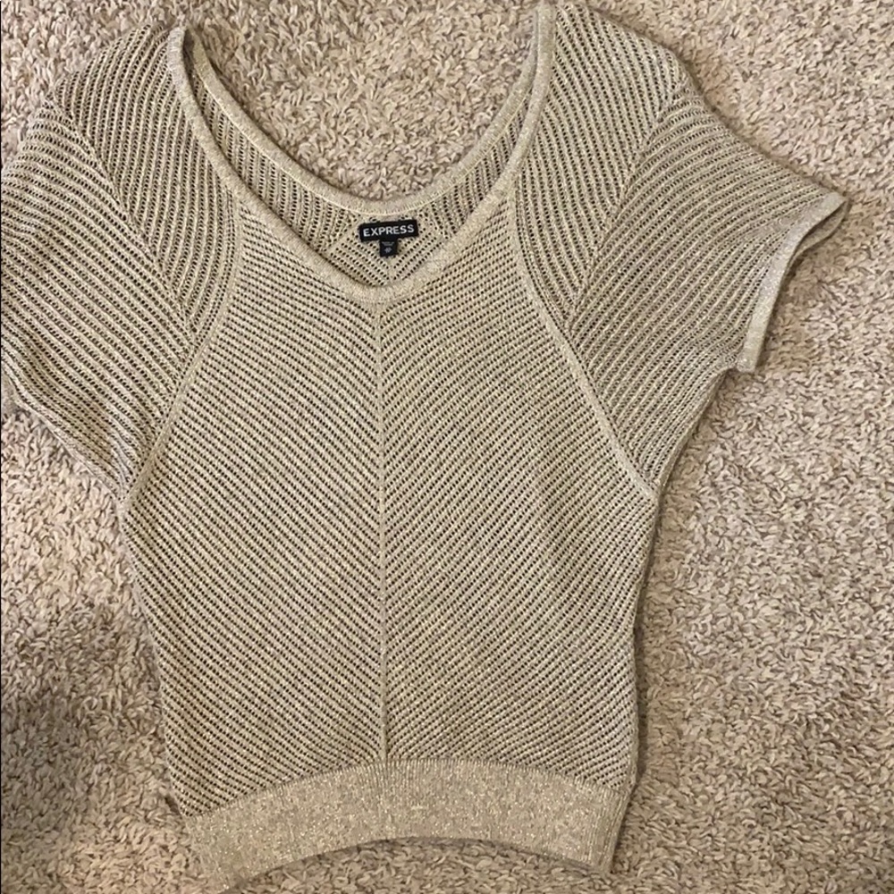 Express Knit Sweater